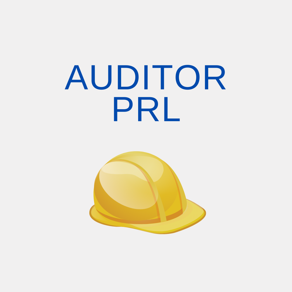 Auditor PRL 